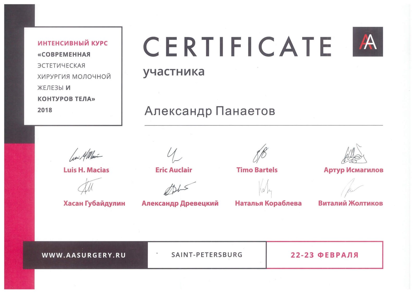 Сертификаты_Александр Панаетов