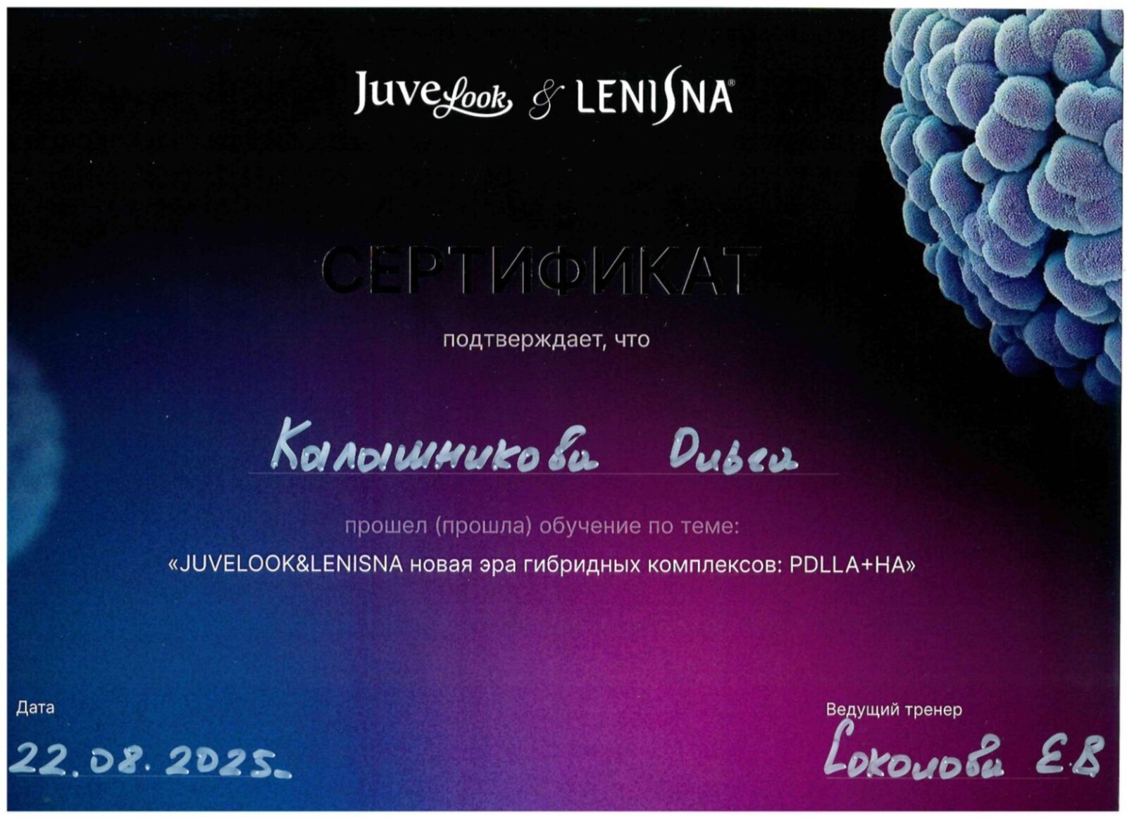 Сертификаты Калашникова Ольга Борисовна