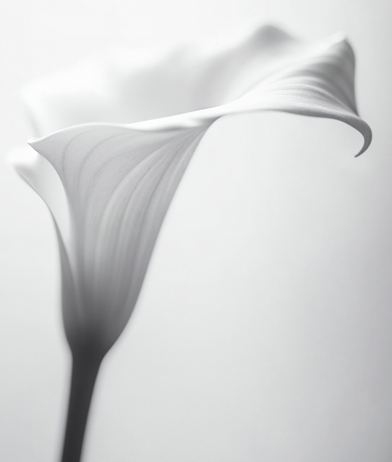 −50% на первичный прием гинеколога